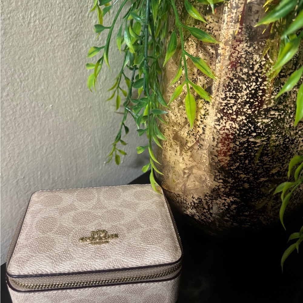 Coach Small Zip Jewelry Case in Taupe with Gold Hardware